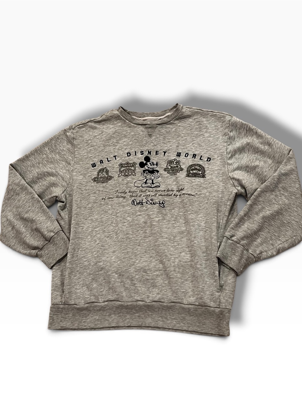 Walt Disney World Sweatshirt Reverse Weave -Quote Crewneck Size L Gray Adult E-1